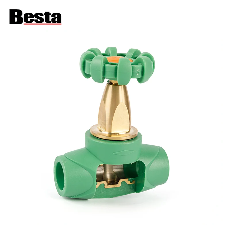 পিপিআর বিলাসবহুল গেট ভালভকে কী দাঁড় করিয়েছে?